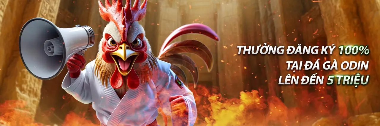 Hình ảnh hợp tác và tăng trưởng cùng AWIN68